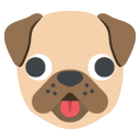 dog face