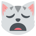 weary cat face
